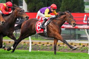 MISS ARIA RAILS TO CLASSY WIN